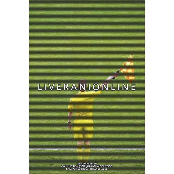 Illustration Arbitre de Touche - 02.05.2015 - Lyon / Evian Thonon - 35eme journee de Ligue 1 Photo : Jean Paul Thomas / Icon Sport AG ALDO LIVERANI SAS ONLY ITALY