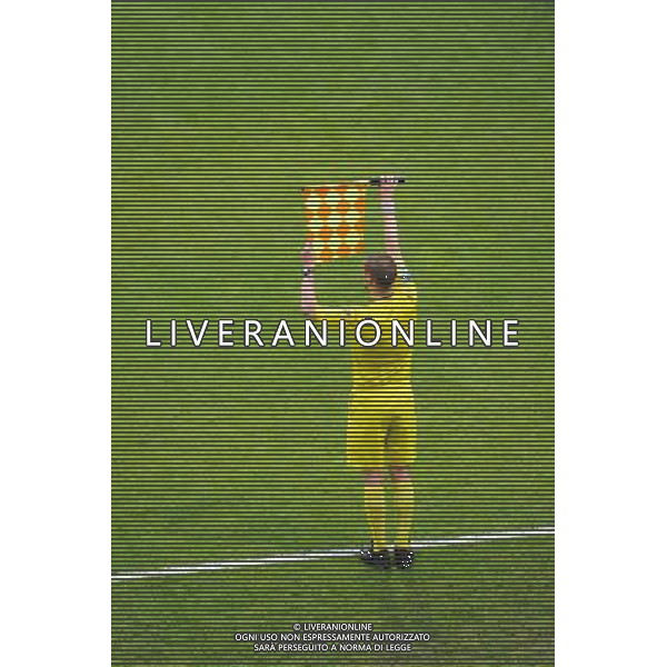 Illustration Arbitre de Touche - Remplacement - 02.05.2015 - Lyon / Evian Thonon - 35eme journee de Ligue 1 Photo : Jean Paul Thomas / Icon Sport AG ALDO LIVERANI SAS ONLY ITALY