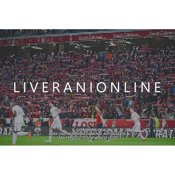 Supporters Lille - 03.02.2015 - Lille / Lens - 35eme journee de Ligue 1 Photo : Dave Winter / Icon Sport AG ALDO LIVERANI SAS ONLY ITALY