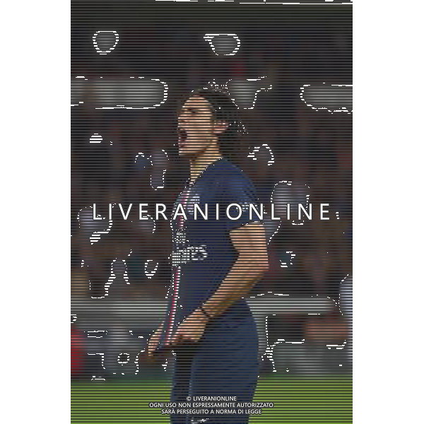 Joie Edinson CAVANI - 08.05.2015 - PSG / Guingamp - 36eme journee de Ligue 1 Photo : Dave Winter / Icon Sport AG ALDO LIVERANI SAS ONLY ITALY