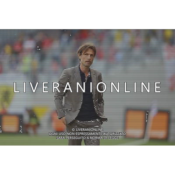 Dominique Arribage - 09.05.2015 - Toulouse / Lille - 36eme journee de Ligue 1 Photo : Manuel Blondeau / Icon Sport AG ALDO LIVERANI SAS ONLY ITALY