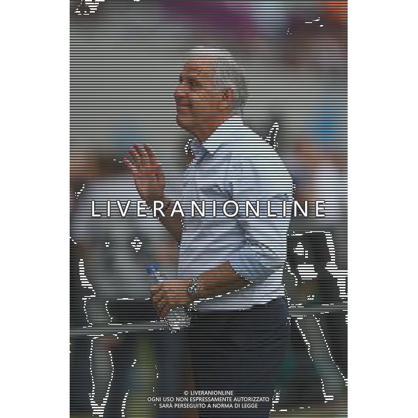 Rene Girard - 09.05.2015 - Toulouse / Lille - 36eme journee de Ligue 1 Photo : Manuel Blondeau / Icon Sport AG ALDO LIVERANI SAS ONLY ITALY