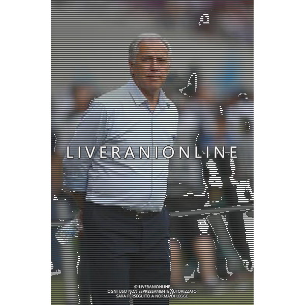 Rene Girard - 09.05.2015 - Toulouse / Lille - 36eme journee de Ligue 1 Photo : Manuel Blondeau / Icon Sport AG ALDO LIVERANI SAS ONLY ITALY