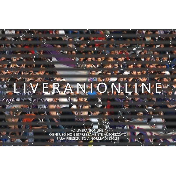 Supporters de Toulouse - 09.05.2015 - Toulouse / Lille - 36eme journee de Ligue 1 Photo : Manuel Blondeau / Icon Sport AG ALDO LIVERANI SAS ONLY ITALY