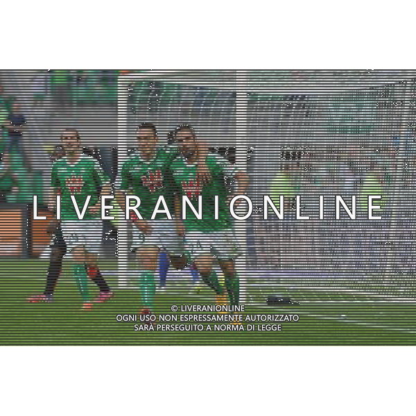 JOIE DE Mevlut ERDING / Loic PERRIN - 10.05.2015 - Saint Etienne / Nice - 36eme journee de Ligue 1 Photo : Jean Paul Thomas / Icon Sport AG ALDO LIVERANI SAS ONLY ITALY