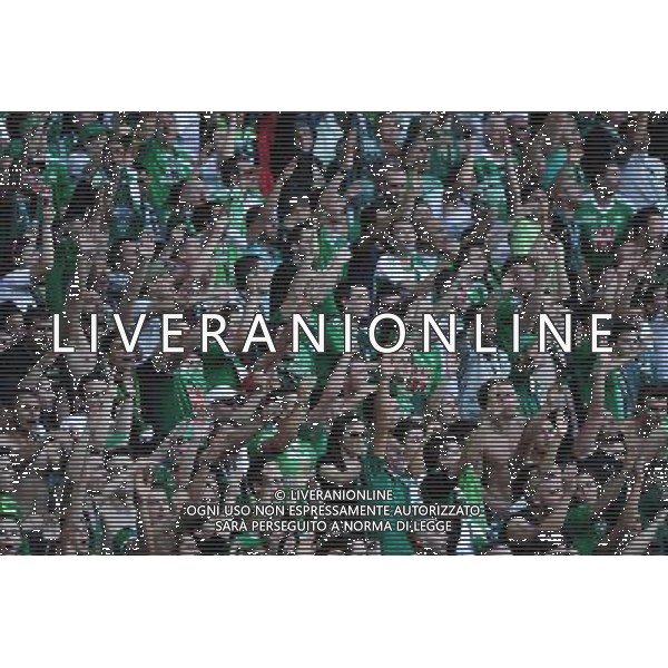 Supporters Saint Etienne - 10.05.2015 - Saint Etienne / Nice - 36eme journee de Ligue 1 Photo : Jean Paul Thomas / Icon Sport AG ALDO LIVERANI SAS ONLY ITALY