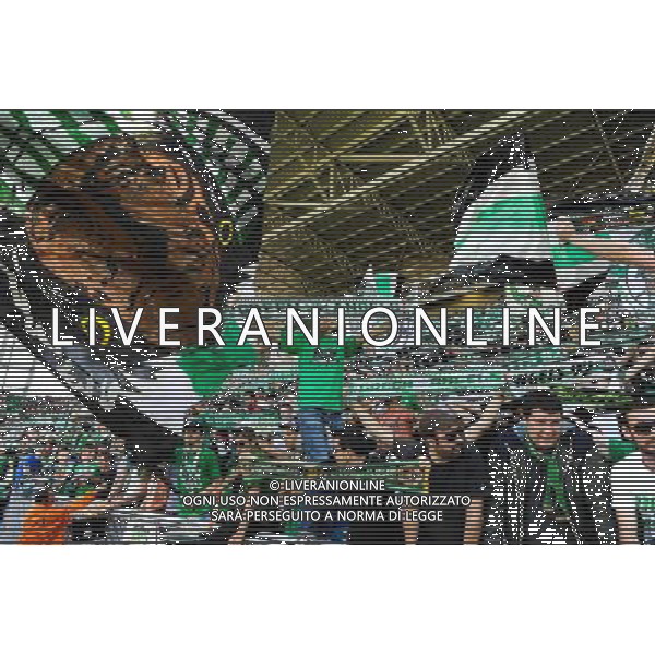 Supporters Saint Etienne - 10.05.2015 - Saint Etienne / Nice - 36eme journee de Ligue 1 Photo : Jean Paul Thomas / Icon Sport AG ALDO LIVERANI SAS ONLY ITALY