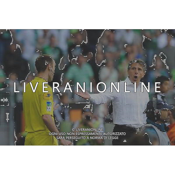 ARBITRE / Claude PUEL - 10.05.2015 - Saint Etienne / Nice - 36eme journee de Ligue 1 Photo : Jean Paul Thomas / Icon Sport AG ALDO LIVERANI SAS ONLY ITALY