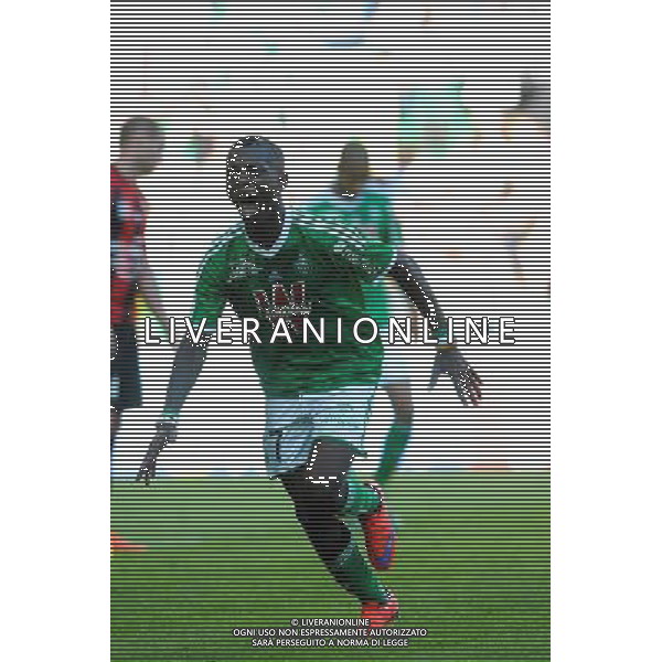 JOIE DE Max Alain GRADEL - 10.05.2015 - Saint Etienne / Nice - 36eme journee de Ligue 1 Photo : Jean Paul Thomas / Icon Sport AG ALDO LIVERANI SAS ONLY ITALY
