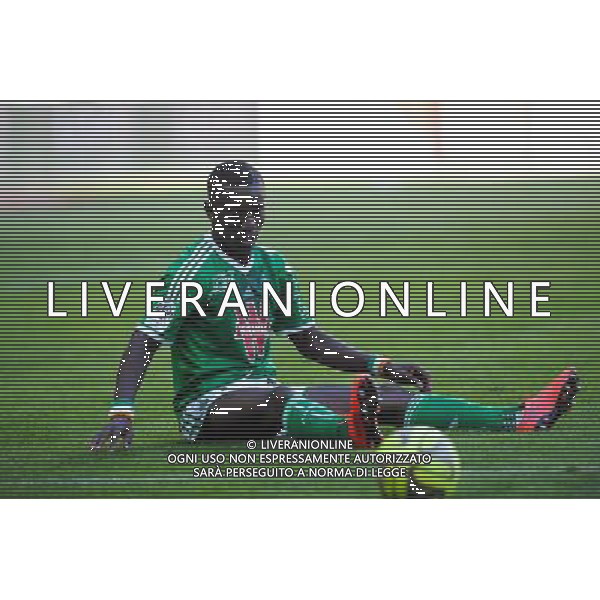 Max Alain GRADEL - 10.05.2015 - Saint Etienne / Nice - 36eme journee de Ligue 1 Photo : Jean Paul Thomas / Icon Sport AG ALDO LIVERANI SAS ONLY ITALY