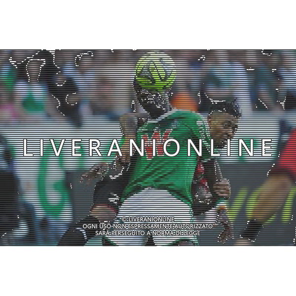 Max Alain GRADEL / Lloyd PALUN - 10.05.2015 - Saint Etienne / Nice - 36eme journee de Ligue 1 Photo : Jean Paul Thomas / Icon Sport AG ALDO LIVERANI SAS ONLY ITALY