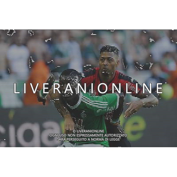Max Alain GRADEL / Lloyd PALUN - 10.05.2015 - Saint Etienne / Nice - 36eme journee de Ligue 1 Photo : Jean Paul Thomas / Icon Sport AG ALDO LIVERANI SAS ONLY ITALY