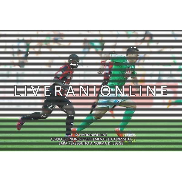 Mevlut ERDING - 10.05.2015 - Saint Etienne / Nice - 36eme journee de Ligue 1 Photo : Jean Paul Thomas / Icon Sport AG ALDO LIVERANI SAS ONLY ITALY