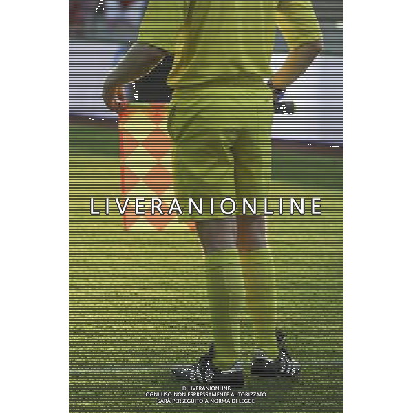 Illustration arbitre - 09.05.2015 - Evian Thonon / Reims - 36eme journee de Ligue 1 Photo : Jean Paul Thomas / Icon Sport AG ALDO LIVERANI SAS ONLY ITALY