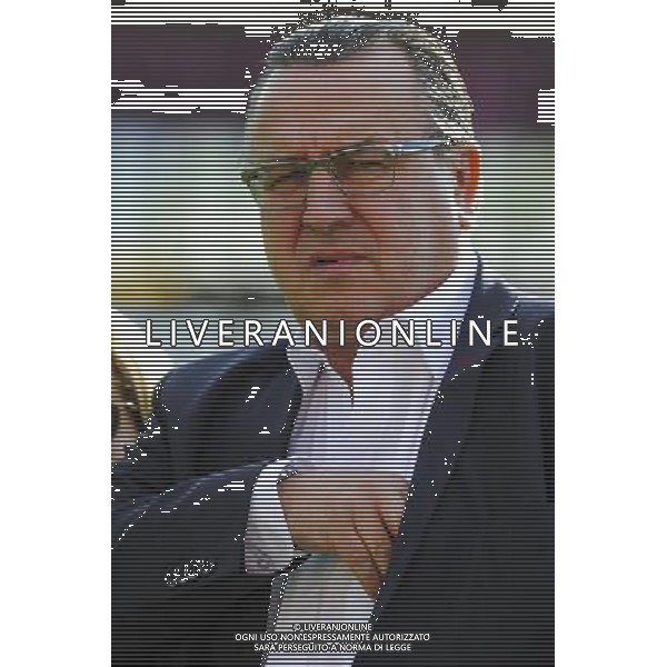 Jean Pierre CAILLOT - 09.05.2015 - Evian Thonon / Reims - 36eme journee de Ligue 1 Photo : Jean Paul Thomas / Icon Sport AG ALDO LIVERANI SAS ONLY ITALY