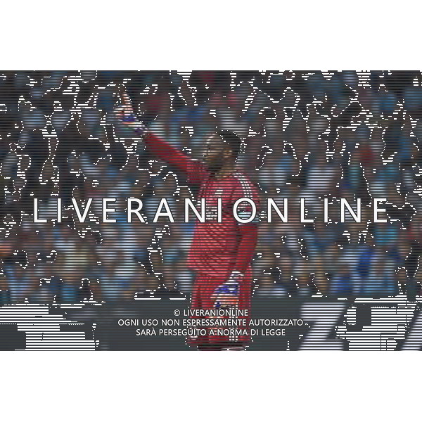 Steve Mandanda - 10.05.2015 - Marseille / Monaco - 36eme journee de Ligue 1 Photo : Alexandre Dimou / Icon Sport AG ALDO LIVERANI SAS ONLY ITALY