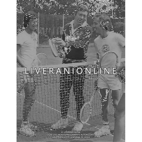 NICOLA PIETRANGELI TENNISTA - RETROSPETTIVA ©ARCHIVIO/AGENZIA ALDO LIVERANI SAS