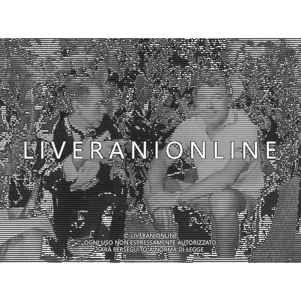 NICOLA PIETRANGELI TENNISTA - RETROSPETTIVA ©ARCHIVIO/AGENZIA ALDO LIVERANI SAS