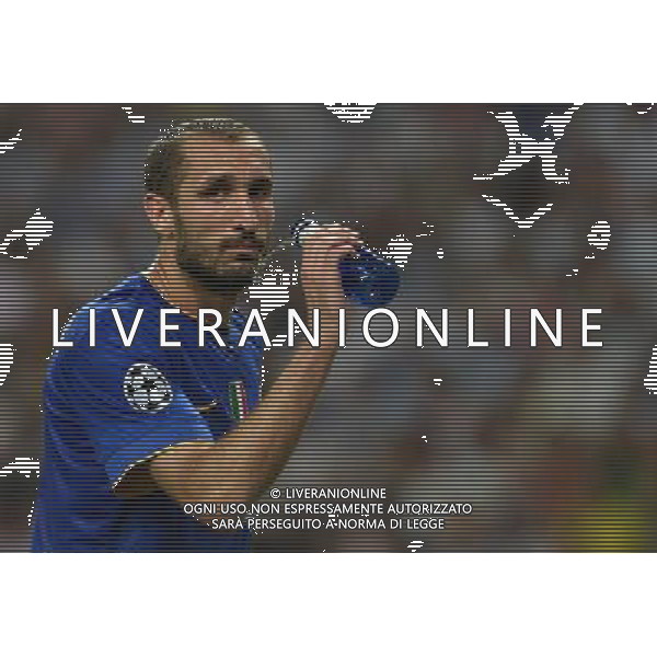 UEFA Champions League 2014/2015 Semifinale Ritorno Madrid - 13.05.2015 Real Madrid-Juventus Nella Foto:Chiellini Giorgio /Ph.Vitez-Ag. Aldo Liverani