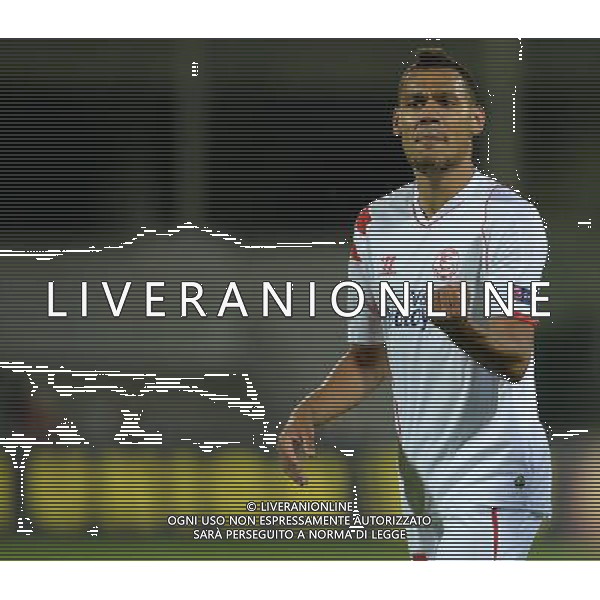 UEFA Europa League 2014/2015 Semifinale Ritorno Firenze - 14.05.2015 Fiorentina-Siviglia Nella Foto:Kolodziejczak Timothee\' /Ph.Vitez-Ag. Aldo Liverani