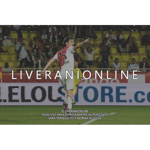 Joie Bernardo DA SILVA - 16.05.2015 - Monaco / Metz - 37eme journÌ©e de Ligue 1 Photo : Serge Haouzi / Icon Sport /AGENZIA ALDO LIVERANI Sas - ITALY ONLY - EDITORIAL USE ONLY