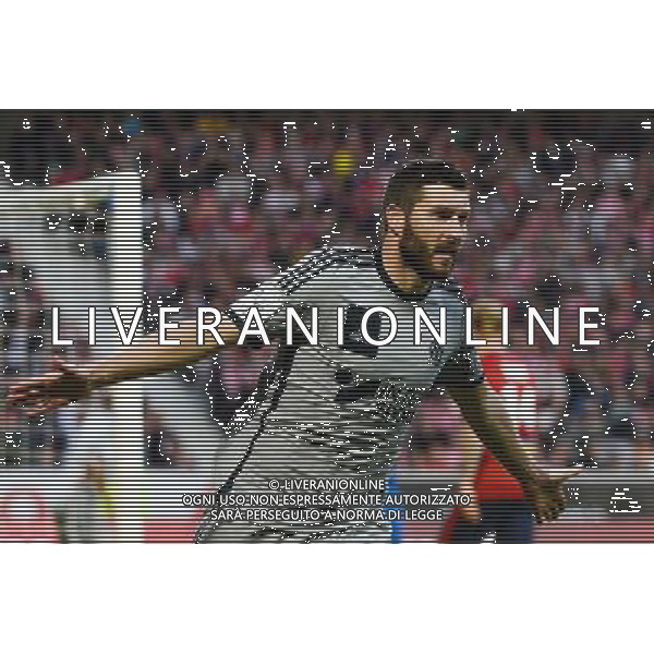 Joie Andre Pierre GIGNAC - 16.05.2015 - Lille / Marseille - 37eme journee de Ligue 1 Photo : Gaston Petrelli / Icon Sport /AGENZIA ALDO LIVERANI Sas - ITALY ONLY - EDITORIAL USE ONLY