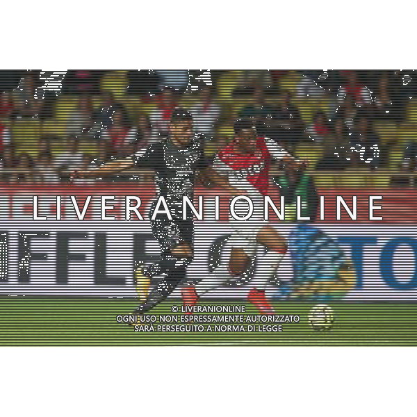 Jose Luis PALOMINO / Anthony MARTIAL - 16.05.2015 - Monaco / Metz - 37eme journÌ©e de Ligue 1 Photo : Serge Haouzi / Icon Sport AG ALDO LIVERANI SAS ONLY ITALY