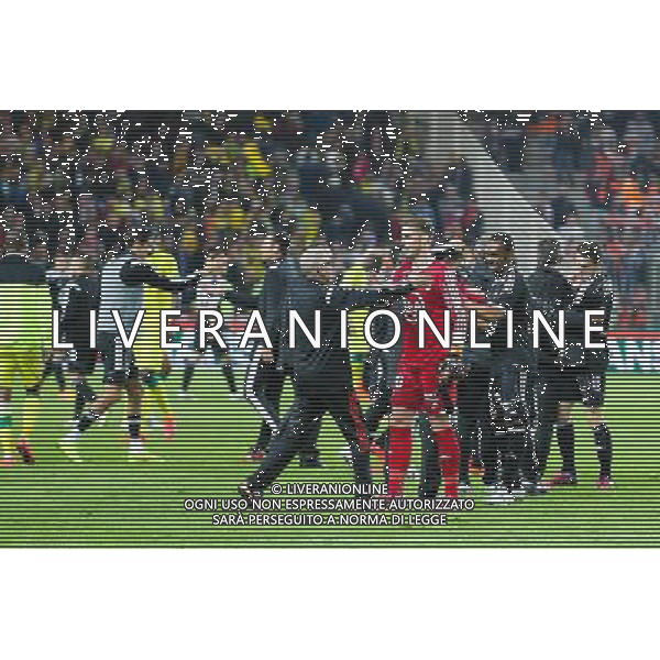 Joie Lorient - 16.05.2015 - Nantes / Lorient - 37eme journÌ©e de Ligue 1 Photo : Vincent Michel / Icon Sport AG ALDO LIVERANI SAS ONLY ITALY