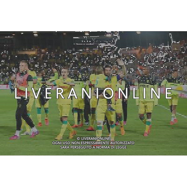 Joie Nantes - 16.05.2015 - Nantes / Lorient - 37eme journÌ©e de Ligue 1 Photo : Vincent Michel / Icon Sport AG ALDO LIVERANI SAS ONLY ITALY