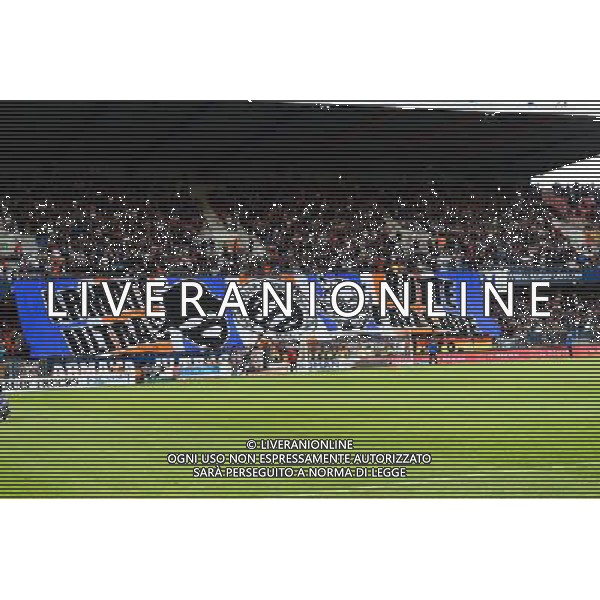 Supporters Montpellier - 16.05.2015 - Montpellier / Paris Saint Germain - 37eme journee de Ligue 1 Photo : Alexandre Dimou / Icon Sport AG ALDO LIVERANI SAS ONLY ITALY