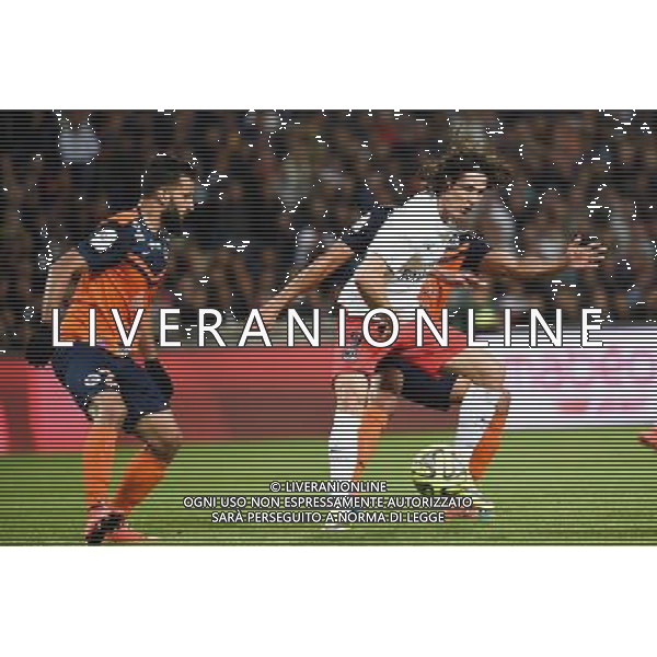 Edinson Cavani / Abdelhamid El Kaoutari - 16.05.2015 - Montpellier / Paris Saint Germain - 37eme journee de Ligue 1 Photo : Alexandre Dimou / Icon Sport AG ALDO LIVERANI SAS ONLY ITALY