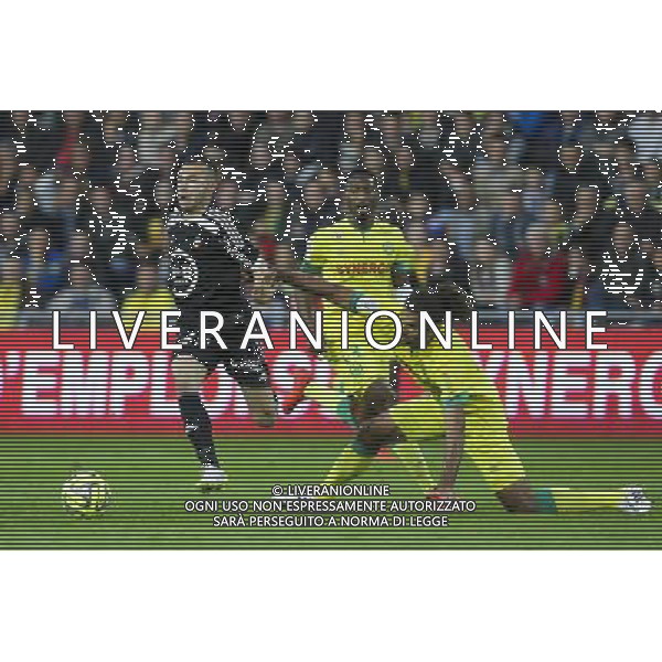Romain PHILIPPOTEAUX / Oswaldo VIZCARRONDO - 16.05.2015 - Nantes / Lorient - 37eme journee de Ligue 1 Photo : Vincent Michel / Icon Sport AG ALDO LIVERANI SAS ONLY ITALY
