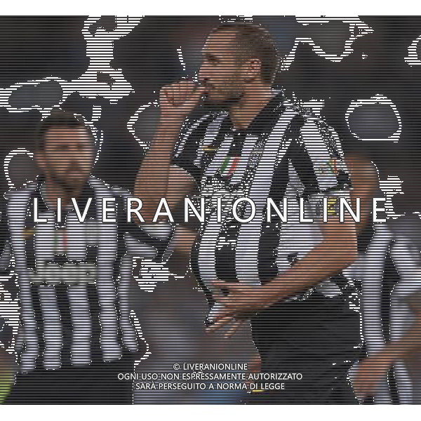 Coppa Italia TIM Cup 2014/2015 Finale Roma - 20.05.2015 Juventus-Lazio Nella Foto: esultanza dopo il gol di giorgio chiellini /Ph.Vitez-Ag. Aldo Liverani