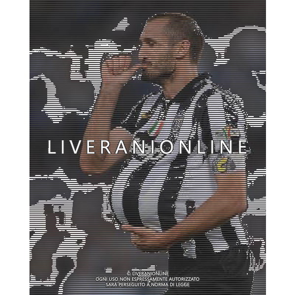 Coppa Italia TIM Cup 2014/2015 Finale Roma - 20.05.2015 Juventus-Lazio Nella Foto: esultanza dopo il gol di giorgio chiellini /Ph.Vitez-Ag. Aldo Liverani