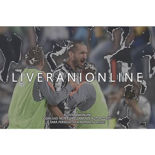 Roma - 20/05/2015 - Stadio Olimpico - Finale Tim Cup 2014-2015 - Juventus vs SS Lazio - nella foto: Giorgio Chiellini esulta dopo il gol del pareggio / Ph. Fabrizio Corradetti - Ag. Aldo Liverani Sas