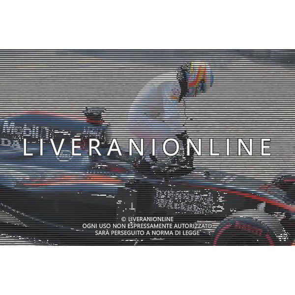 Fernando Alonso (ESP), McLaren Honda 24.05.2015. Formula 1 World Championship, Rd 6, Monaco Grand Prix, Monte Carlo, Monaco, Race Day. AG ALDO LIVERANI SAS ONLY ITALY