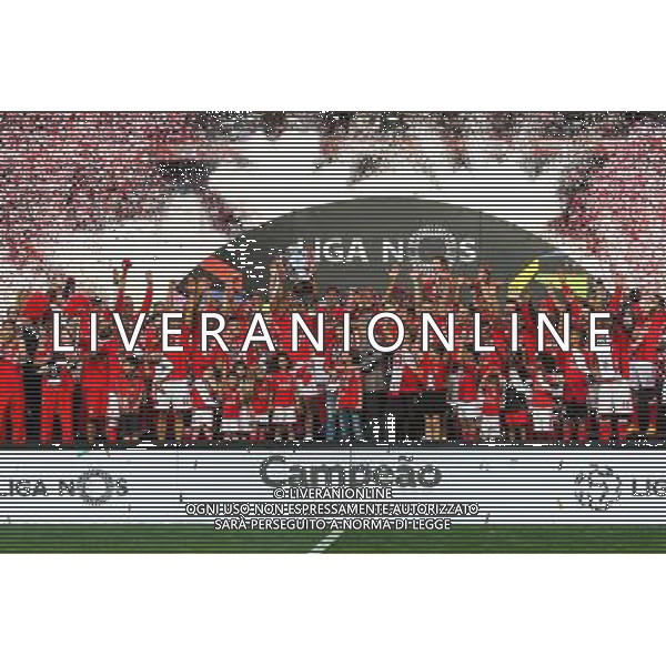 Joie groupe Benfica - 23.05.2015 - Benfica / Maritimo - Liga Sagres Photo : Carlos Rodriguez / Icon Sport AG ALDO LIVERANI SAS ONLY ITALY