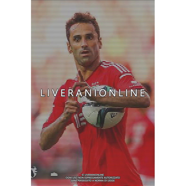 Joie Jonas - 23.05.2015 - Benfica / Maritimo - Liga Sagres Photo : Carlos Rodriguez / Icon Sport AG ALDO LIVERANI SAS ONLY ITALY