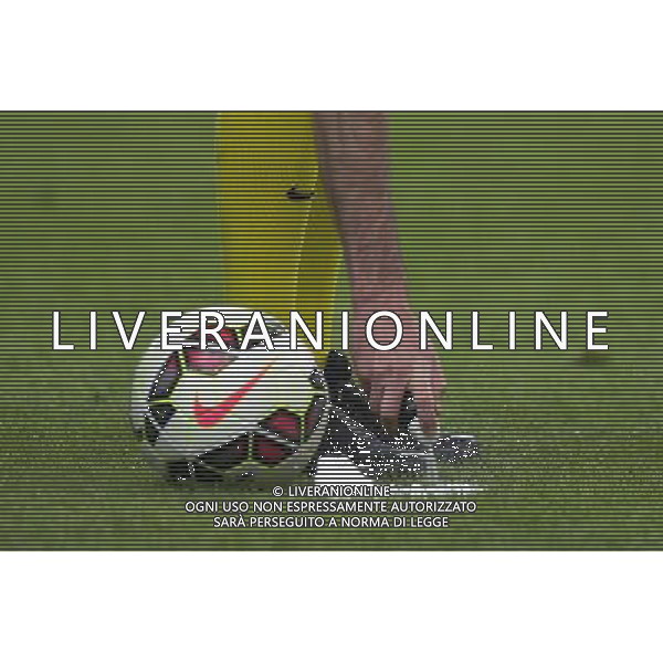 Illustration spray arbitre - 30.05.2015 - Auxerre / Paris Saint Germain - Finale Coupe de France Photo : Andre Ferreira / Icon Sport AG ALDO LIVERANI SAS ONLY ITALY