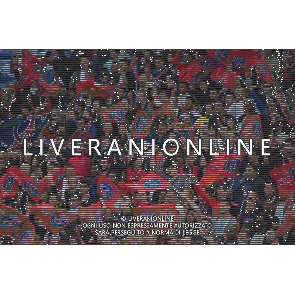 Supporters PSG - 30.05.2015 - Auxerre / Paris Saint Germain - Finale Coupe de France Photo : Andre Ferreira / Icon Sport AG ALDO LIVERANI SAS ONLY ITALY