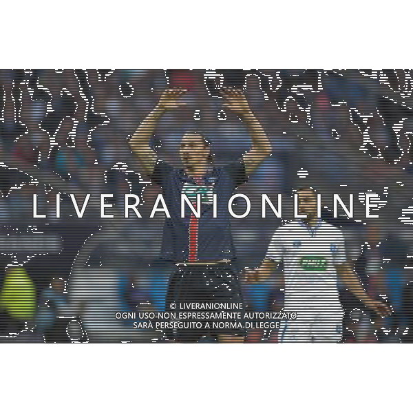 Zlatan Ibrahimovic - 30.05.2015 - Auxerre / Paris Saint Germain - Finale Coupe de France Photo : Andre Ferreira / Icon Sport AG ALDO LIVERANI SAS ONLY ITALY