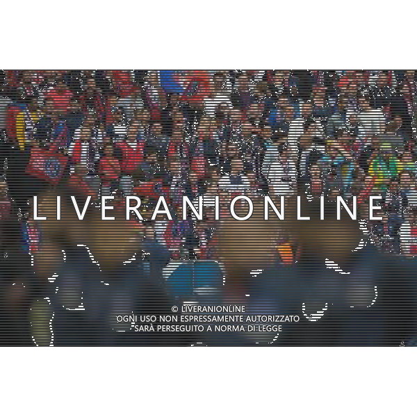 Supporters PSG - 30.05.2015 - Auxerre / Paris Saint Germain - Finale Coupe de France Photo : Andre Ferreira / Icon Sport AG ALDO LIVERANI SAS ONLY ITALY