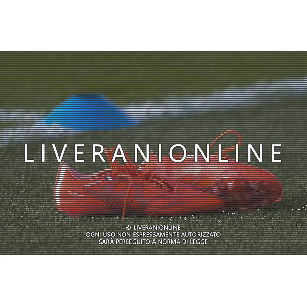 Illustration chaussures Alexandre Lacazette - 01.06.2015 - Entrainement -Equipe de France -Clairefontaine Photo : Andre Ferreira / Icon Sport AG ALDO LIVERANI SAS ONLY ITALY