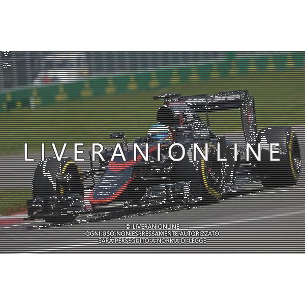 Fernando Alonso (ESP), McLaren Honda 05.06.2015. Formula 1 World Championship, Rd 7, Canadian Grand Prix, Montreal, Canada, Practice Day. /AGENZIA ALDO LIVERANI Sas - ITALY ONLY - EDITORIAL USE ONLY - Prove Libere