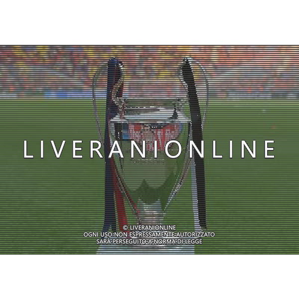UEFA Champions League 2014/2015 Finale Berlino - 06.06.2015 Juventus-Barcellona Nella Foto:la coppa della champions league /Ph.Vitez-Ag. Aldo Liverani