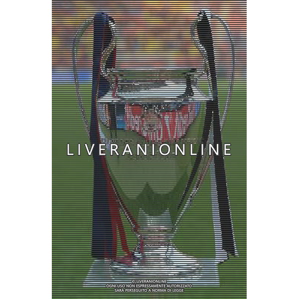 UEFA Champions League 2014/2015 Finale Berlino - 06.06.2015 Juventus-Barcellona Nella Foto:la coppa della champions league /Ph.Vitez-Ag. Aldo Liverani