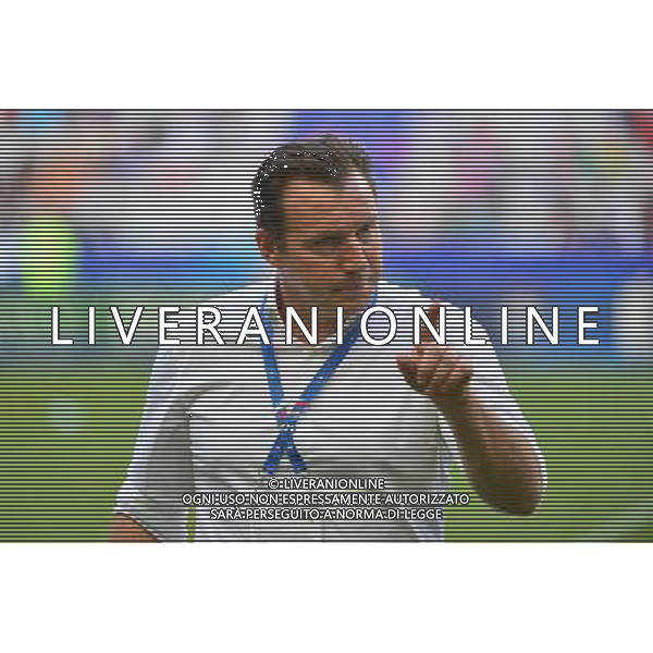 Marc WILMOTS - 07.06.2015 - France / Belgique - Match Amical Photo : Dave Winter / Icon Sport AG ALDO LIVERANI SAS ONLY ITALY