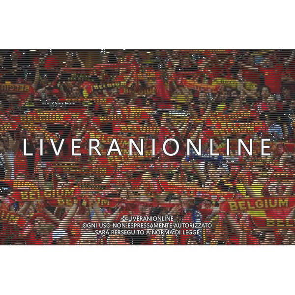Supporters Belgique - 07.06.2015 - France / Belgique - Match Amical Photo : Dave Winter / Icon Sport AG ALDO LIVERANI SAS ONLY ITALY