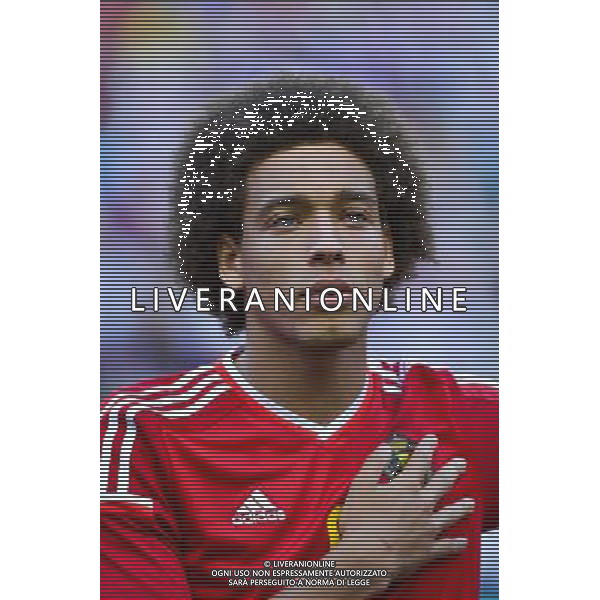 Axel WITSEL - 07.06.2015 - France / Belgique - Match Amical Photo : Dave Winter / Icon Sport AG ALDO LIVERANI SAS ONLY ITALY