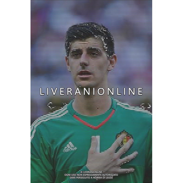 Thibaut COURTOIS - 07.06.2015 - France / Belgique - Match Amical Photo : Dave Winter / Icon Sport AG ALDO LIVERANI SAS ONLY ITALY